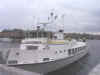 Havsrnen1.jpg (219553 byte)