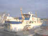 Royal Star.jpg (262810 byte)